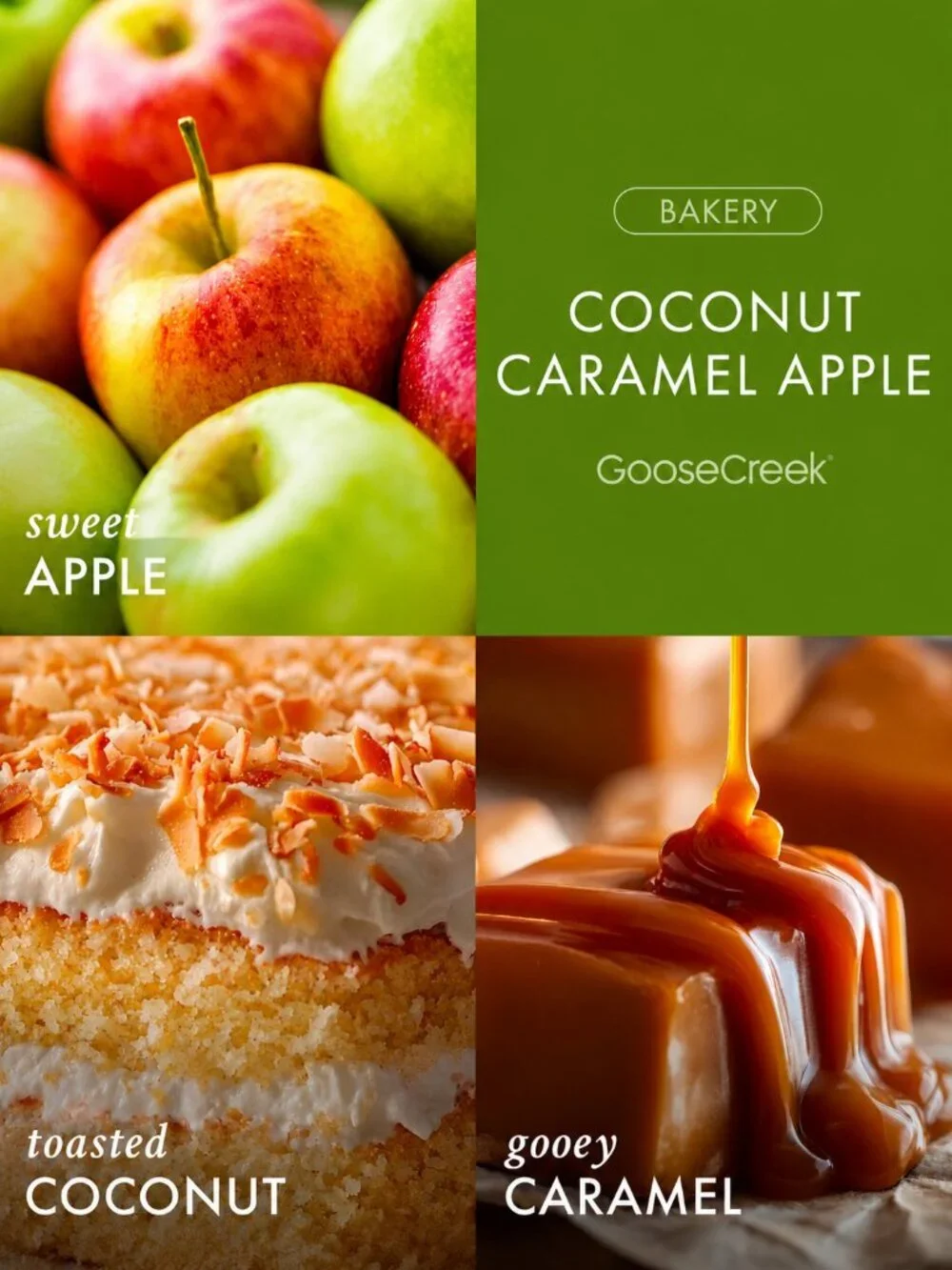New Goose Creek Coconut Caramel Apple 3-Wick Candle 14.5 oz Fall Scent